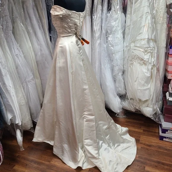 100% Silk Ivory/Champagne Wedding Gown - Picture 4 of 6